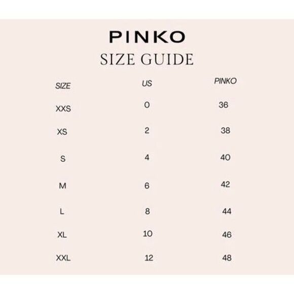 NWT- Pinko Bebyblade fluid crepe dress - Size 42 - Picture 4 of 4